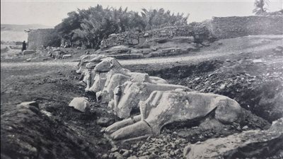 طريق الكباش.. حكاية تماثيل آمون التي كشفت أسرار الطريق أمام معبد الكرنك
