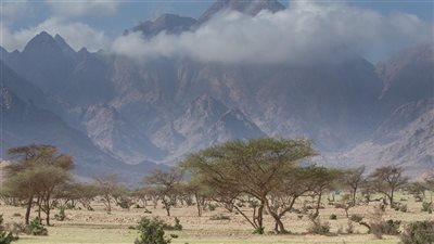 جبل علبة.. المكان الذي تلتقي فيه الصحراء بأفريقيا والبحر في مشهد واحد