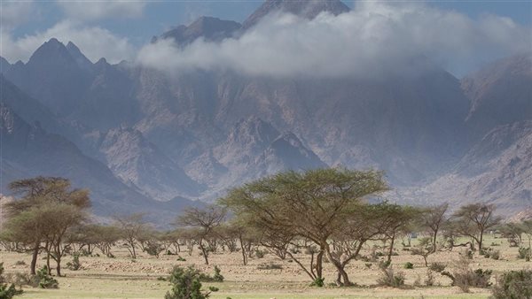جبل علبة 