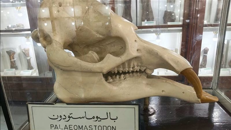القطعة الأثرية 