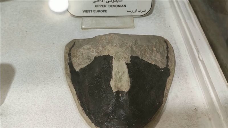 القطعة الأثرية 
