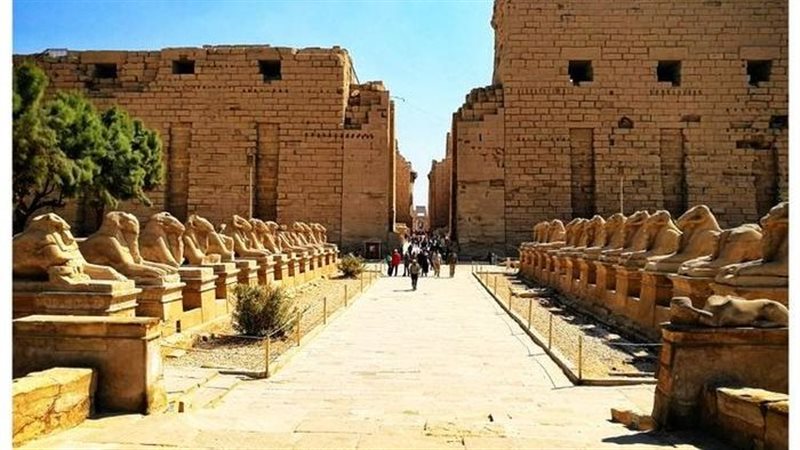 طريق الكباش