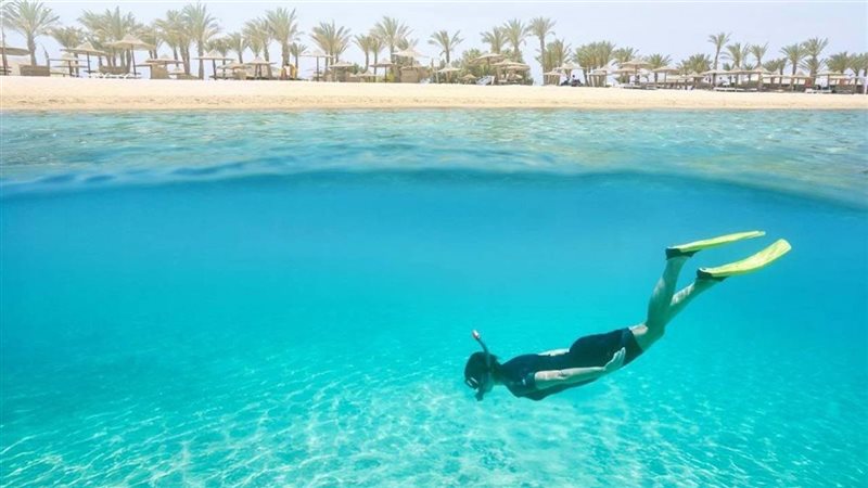 حماية السواحل