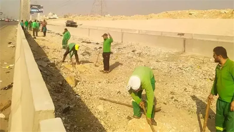 تشجير الدائرى