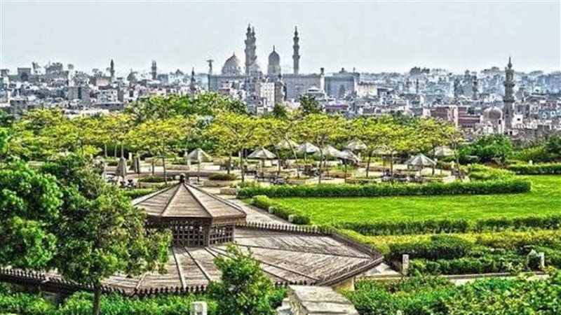 Go Egypia