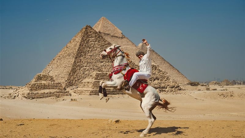 Go Egypia
