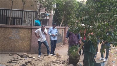 تشجير شارع إيران بالدقي ضمن مبادرة «اتحضر للأخضر»