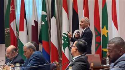 جامعة الدول العربية تنظم ورشة عمل حول المنظومة القانونية لكشف تزييف الآثار 