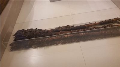أكاليل توت عنخ آمون.. زهور عمرها أكثر من 3300 عام تكشف أسرار طقوس دفن الملك 