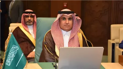 ماذا قال السفير المطر عن تجديد ولاية 