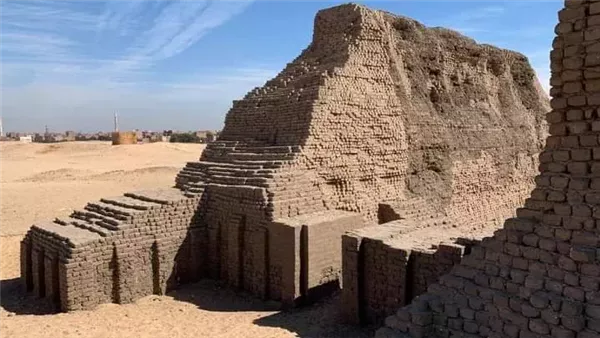 شونة الزبيب 