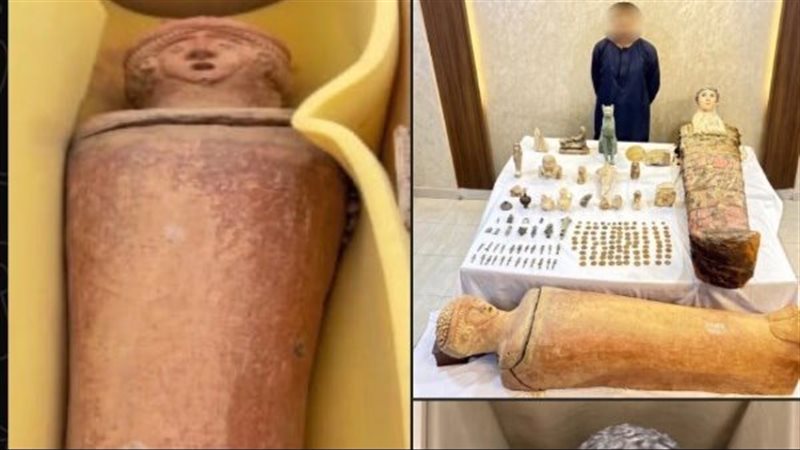 المضبوطات