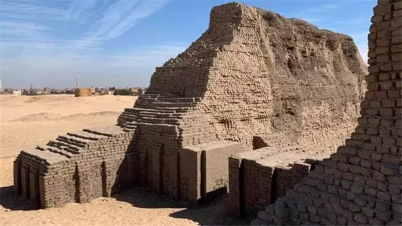 شونة الزبيب