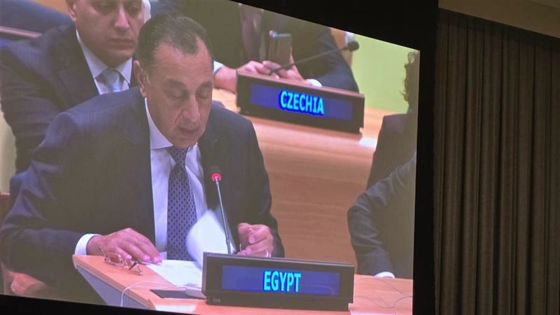 الدكتور مصطفى مدبولي