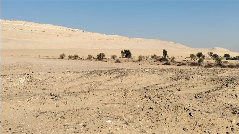 المنطقة الأثرية 