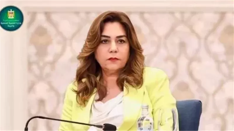 وزارة التنمية المحلية