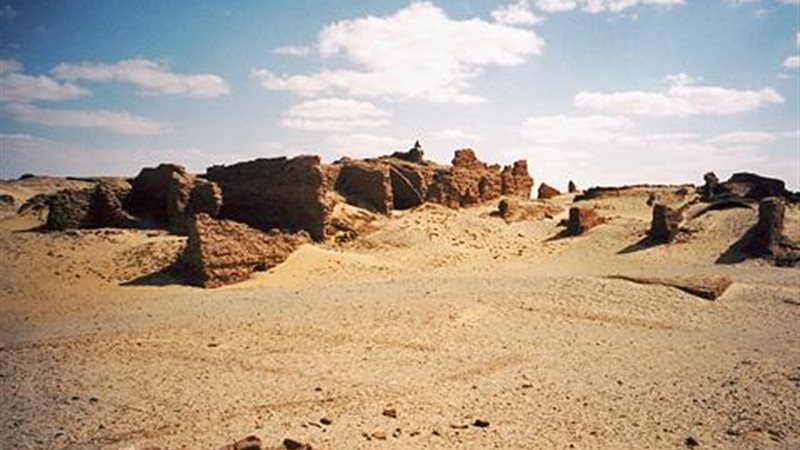 الواحات الداخلة