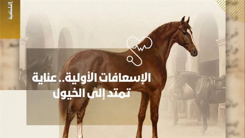 الخيول 
