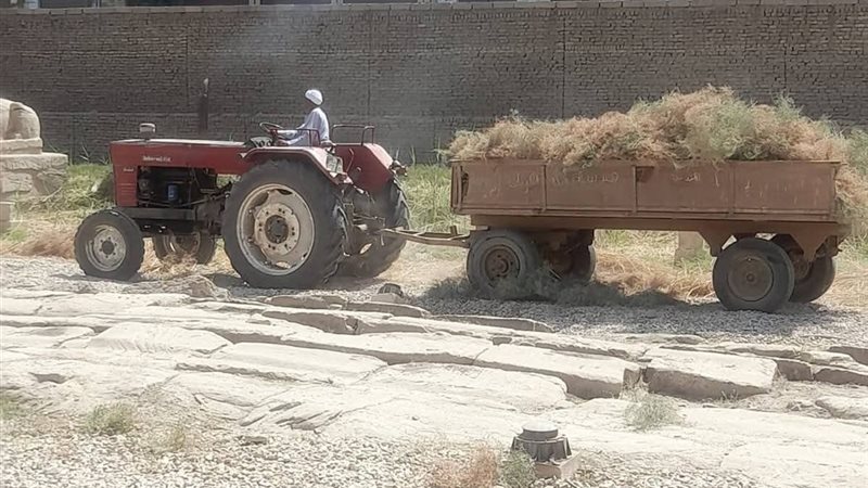 أعمال النظافة 