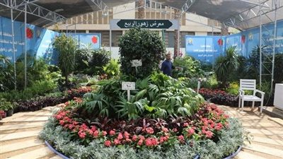 إقبال كبير على معرض الزهور بالمتحف الزراعي بالدقي.. الدخول مجانًا اليوم وغدًا