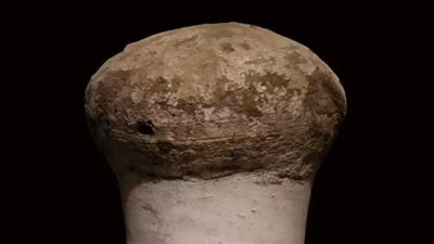 من الحقل إلى المائدة.. جرة تكشف أسرار حفظ الغذاء في مصر القديمة