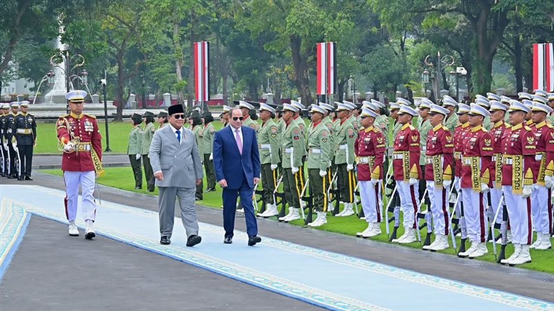 زيارة الرئيس السيسي