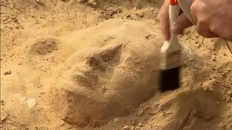التاب