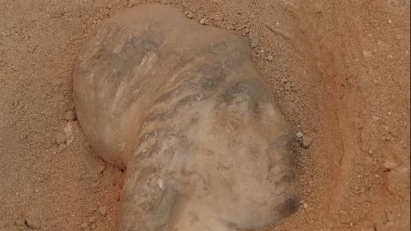 القطعة الأثرية 