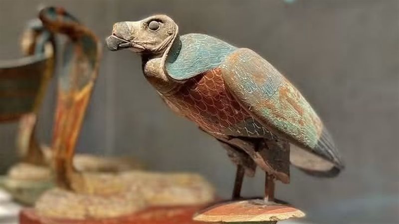 نخبت
