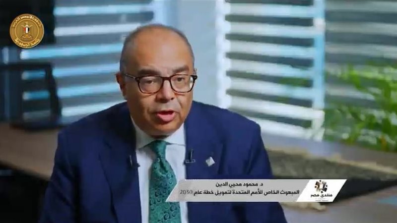 الدكتور محمود محيي